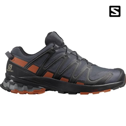 Navy Salomon Xa Pro 3d V8 GTX Men's Trail Running Shoes | PH 69870D